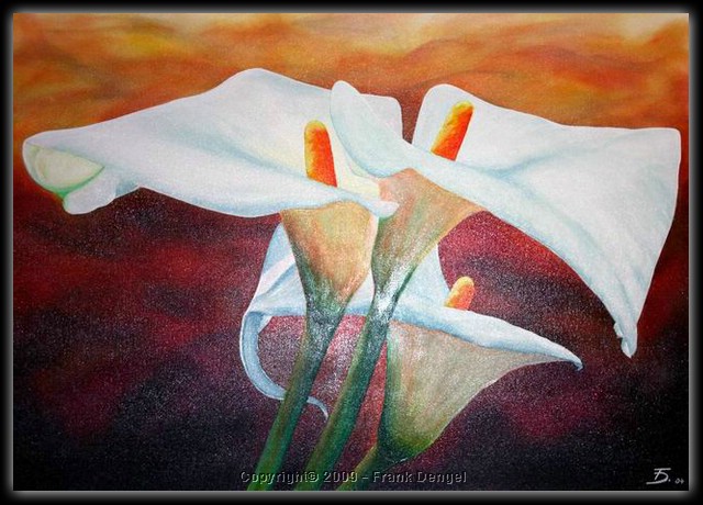 Calla.jpg