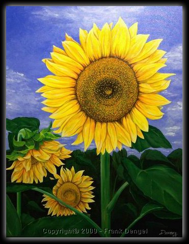 Sonnenblume.jpg