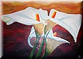 Calla.jpg