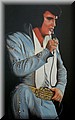 Elvis in Concert.jpg