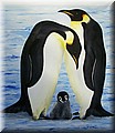 Pinguinfamilie.jpg